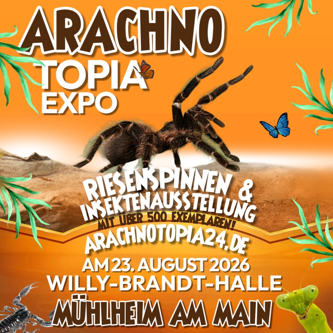 Arachnotopia - Riesenspinnen & Insektenausstellung